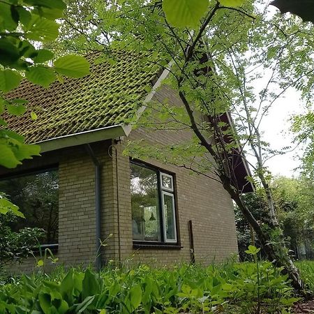 Vechtdalhuisje 17 Омен Екстериор снимка